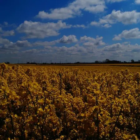 Scheffler Διαμέρισμα