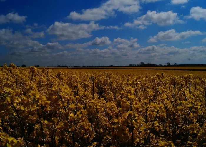 Scheffler Appartamento